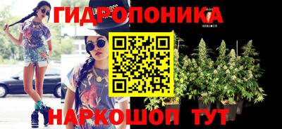 бошки Камышлов