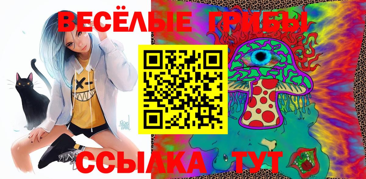 Псилоцибиновые грибы GOLDEN TEACHER Курчалой