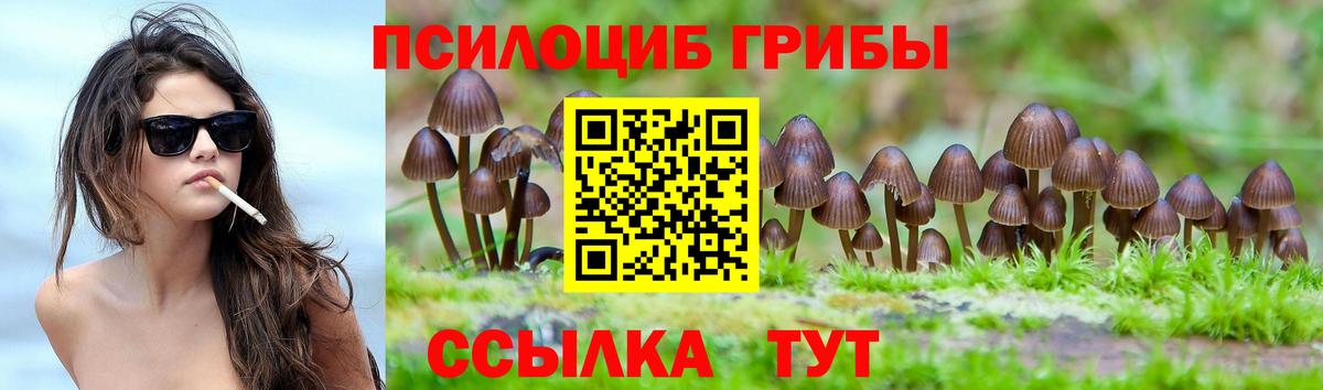 Галлюциногенные грибы MAGIC MUSHROOMS  Вход с VPN  Курчалой 
